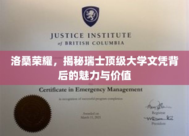 瑞士文凭之光，洛桑荣耀背后的学术魅力与价值探寻
