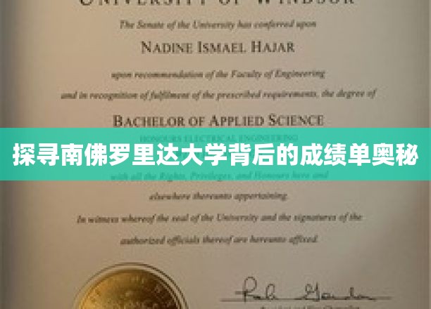 南佛罗里达大学，揭秘卓越成绩背后的神秘力量
