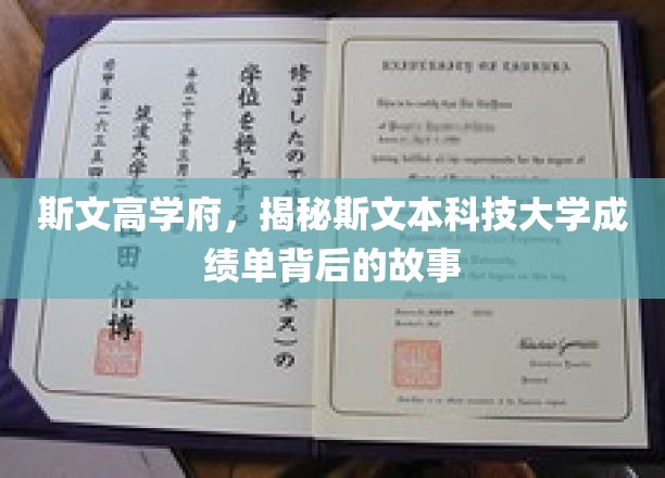斯文之光，探寻斯文本大学成绩单背后的精彩篇章