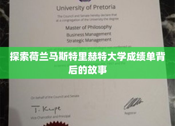 揭秘荷兰马斯特里赫特大学成绩单的隐藏奥秘