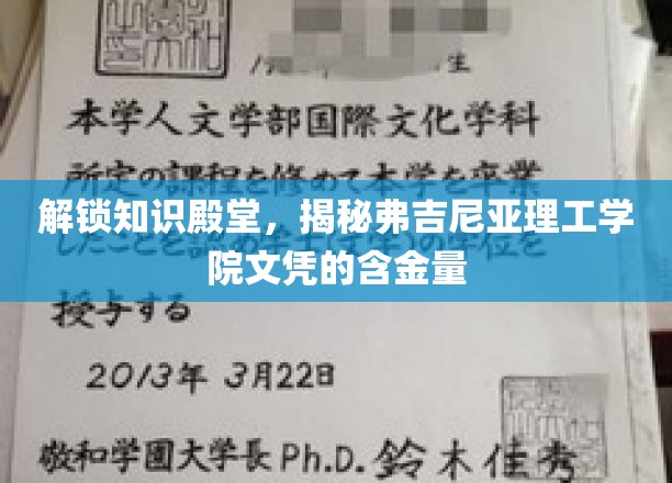 探寻弗吉尼亚理工学院文凭的宝藏价值