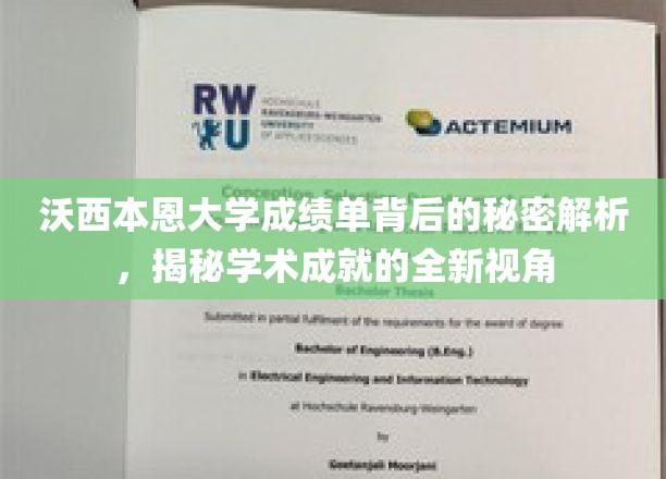 沃西本恩大学成绩单背后的秘密解析，揭秘学术成就的全新视角