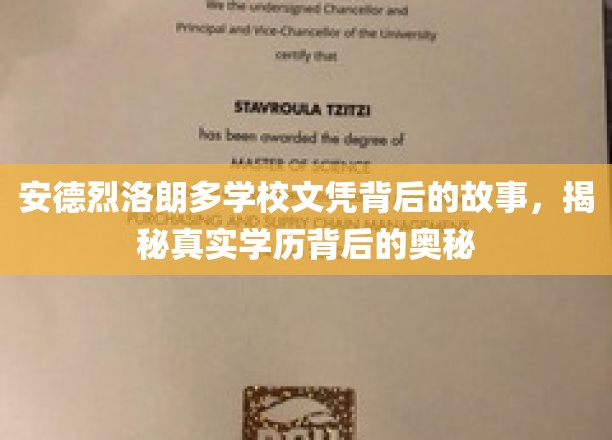 揭开安德烈洛朗多学历之谜，文凭背后的不凡篇章