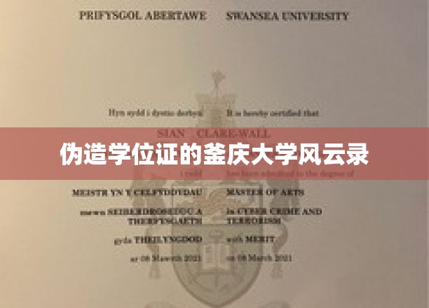 学历作假的釜庆大学，一场学历伪造的校园风暴