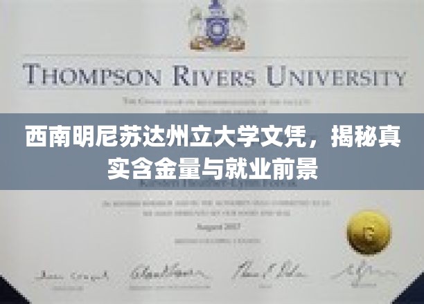 解码西南明尼苏达州立大学文凭，价值几何？就业前景展望
