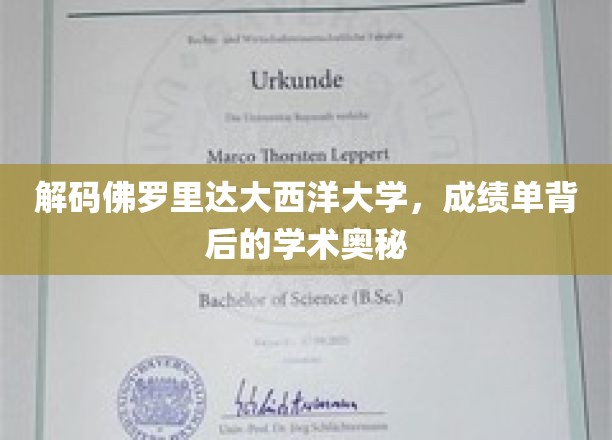 解码佛罗里达大西洋大学，成绩单背后的学术奥秘