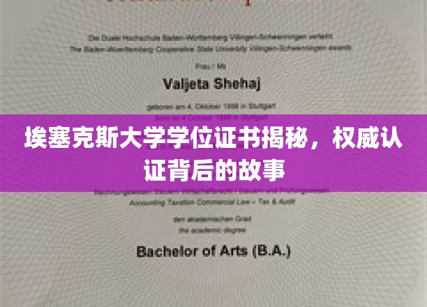 埃塞克斯大学学位之谜，揭秘认证之旅背后的真实历程