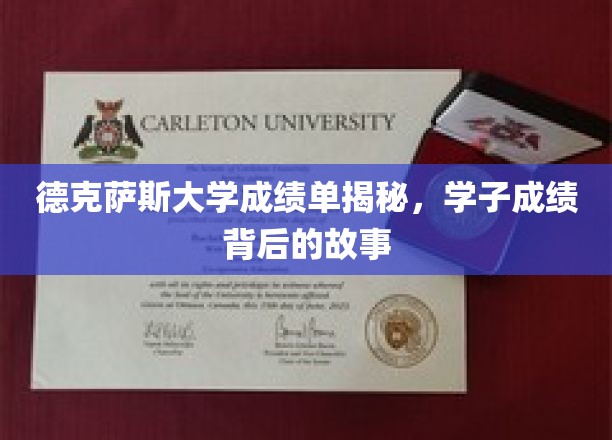 德克萨斯大学成绩单揭秘，学子成绩背后的故事