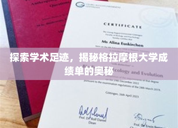 解码格拉摩根大学成绩单，探寻学术成就的神秘轨迹
