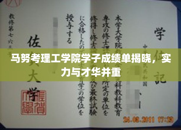 马努考理工学院学霸风采，高分榜单展现青春才华与实力