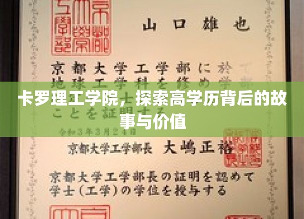 解码卡罗理工学院，高学历背后的非凡旅程与深远意义
