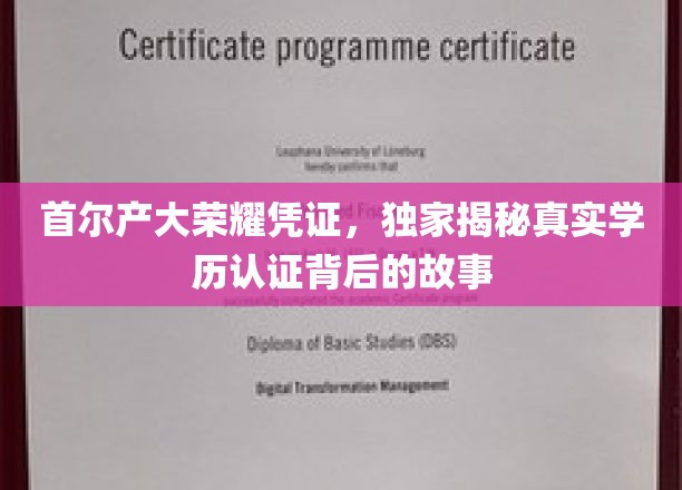 解码首尔产大荣耀证书，揭秘学历认证背后的传奇之路