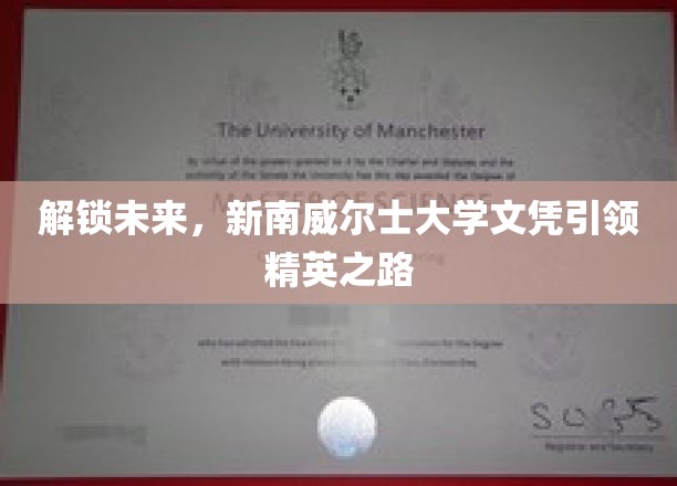 未来精英通行证，新南威尔士大学文凭开启非凡征途
