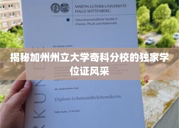 深度解析：加州州立大学奇科分校的独特学位证书风采