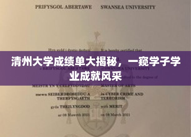 清州大学成绩单深度解析，一探学子学业成就风采