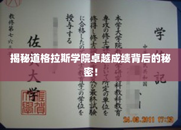 揭秘道格拉斯学院卓越成绩背后的秘密！