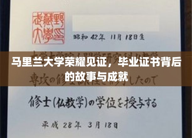 马里兰大学荣耀见证，毕业证书背后的故事与成就
