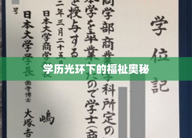 学历背后的神秘福祉解析