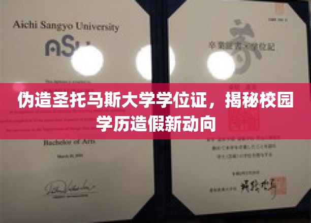 伪造圣托马斯大学学位证，揭秘校园学历造假新动向