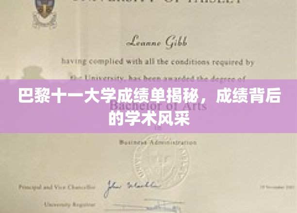 探寻巴黎十一大学成绩单背后的学术荣耀之光