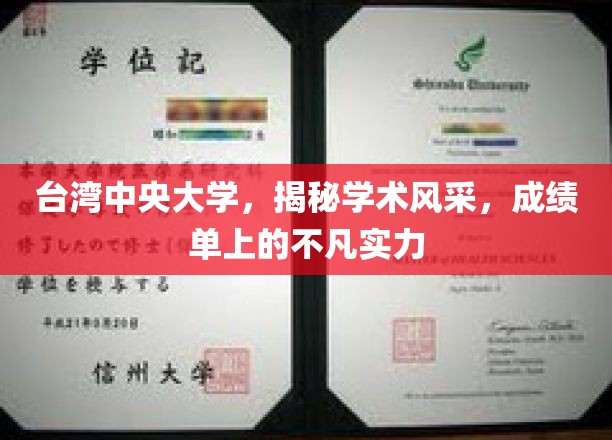 台中大放异彩，中央大学惊艳成绩单背后的学术魅力