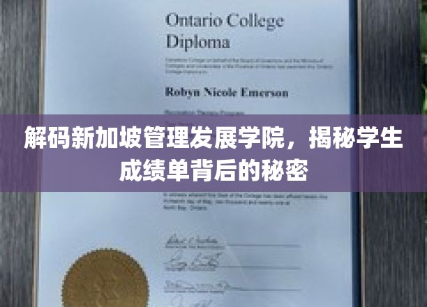 揭开新加坡管理发展学院成绩单的神秘面纱