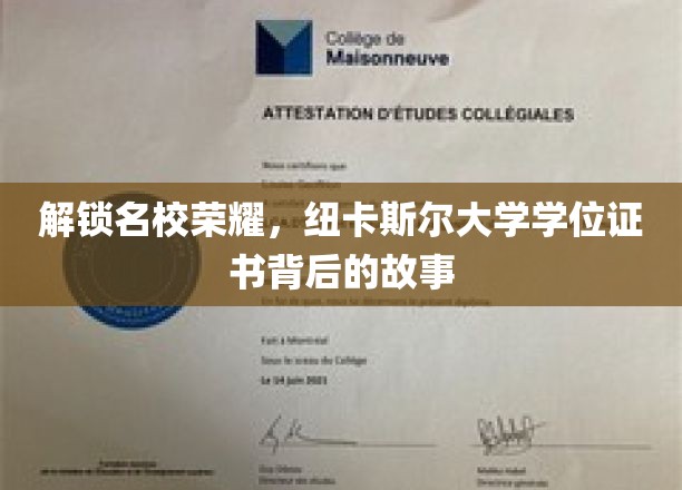 探寻纽卡斯尔大学荣耀，学位证书背后的传奇之旅