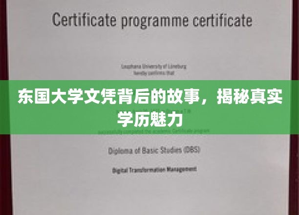 东国大学文凭，探寻隐藏在学历背后的独特魅力