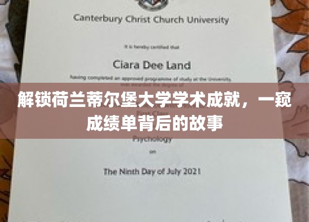 解锁荷兰蒂尔堡大学学术成就，一窥成绩单背后的故事