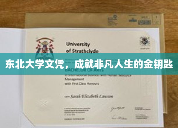 东北大学文凭，开启非凡人生之路