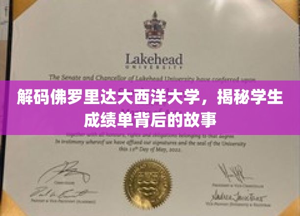解码佛罗里达大西洋大学，揭秘学生成绩单背后的故事