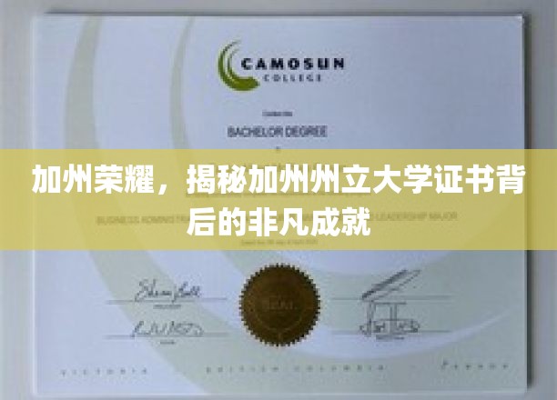 解码加州州立大学，证书背后的璀璨荣耀之路