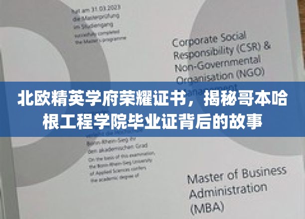 哥本哈根工程学院荣耀证书，探寻北欧精英学府的非凡毕业证之谜