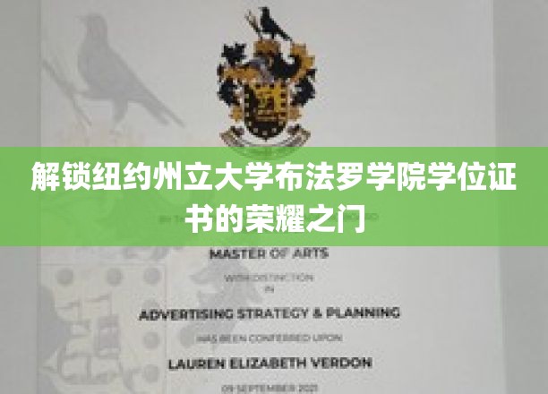 解锁纽约州立大学布法罗学院学位证书的荣耀之门