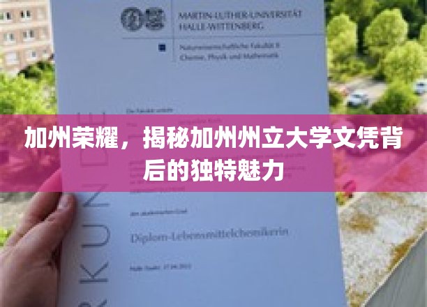 解码加州，探索加州州立大学文凭的独特价值魅力