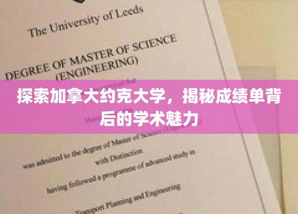 揭开约克大学成绩单之谜，探寻学术殿堂的非凡魅力