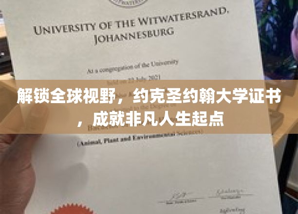 跨越国界，约克圣约翰大学证书助力人生新篇章
