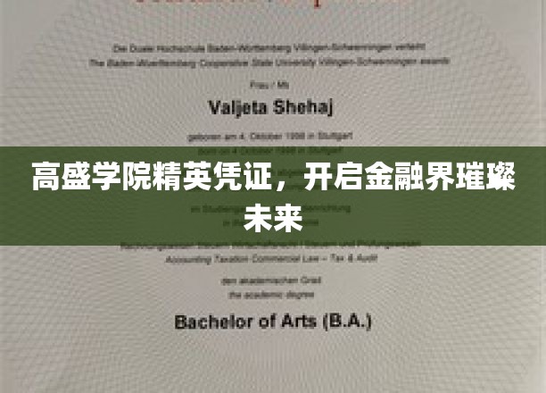 金融精英启航，高盛学院凭证解锁财富之门