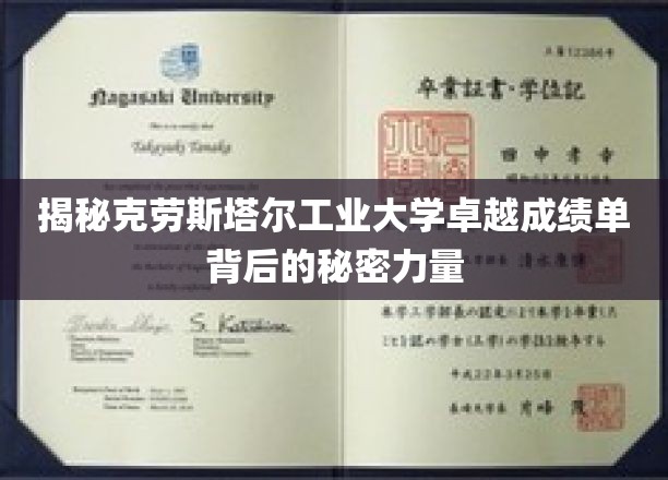 揭开克劳斯塔尔工业大学卓越成绩单背后的神秘力量