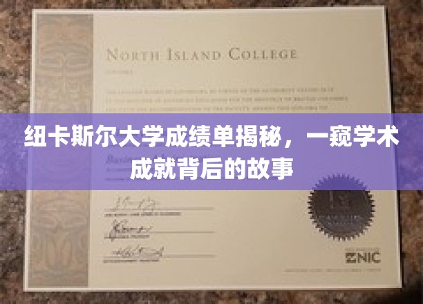 解码纽大成绩单，探索学术辉煌背后的真实历程