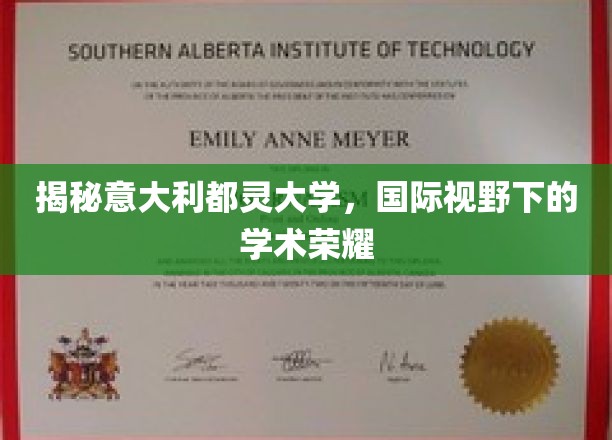 探秘都灵之光，意大利顶级学府的学术璀璨之旅