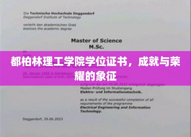 都柏林理工学院学位荣耀，解锁成功与成就的密钥