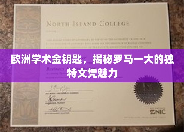 解锁罗马一大的欧洲学术瑰宝，揭秘独特文凭的全球吸引力