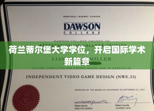 荷兰蒂尔堡大学学位，开启国际学术新篇章