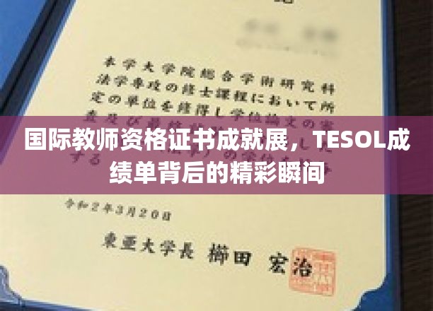 国际教师资格证书成就展，TESOL成绩单背后的精彩瞬间