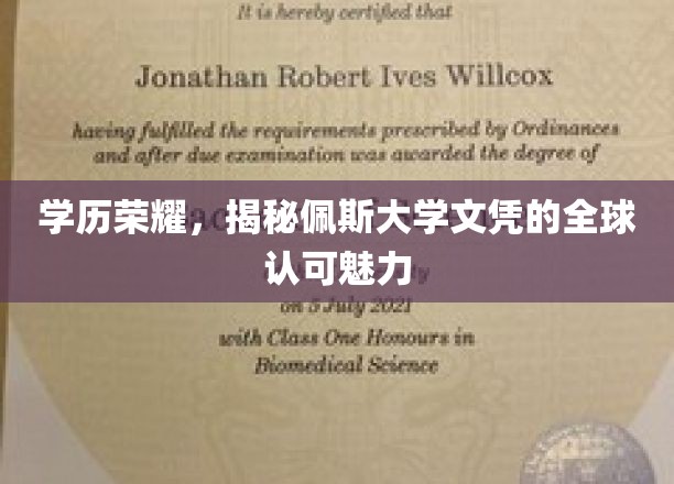 全球通行证，佩斯大学文凭如何闪耀国际舞台