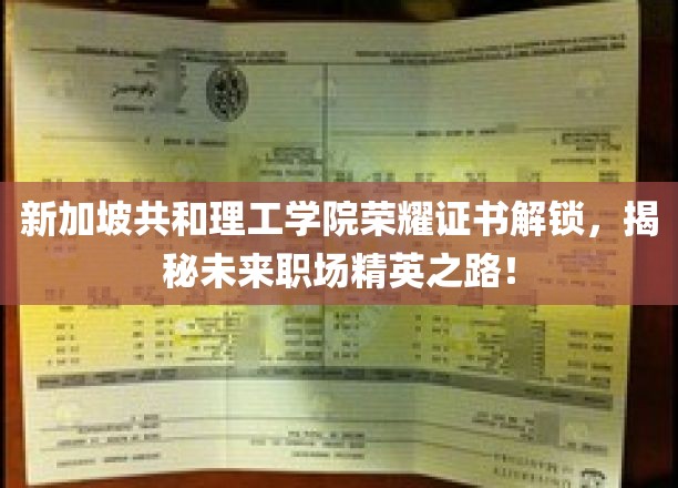 新加坡共和理工学院证书新篇章，探索职场精英成长奥秘