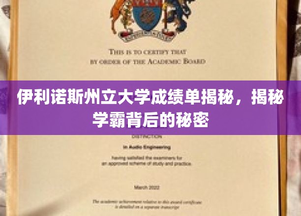 伊利诺斯州立学霸养成记，揭秘顶尖成绩背后的独特路径