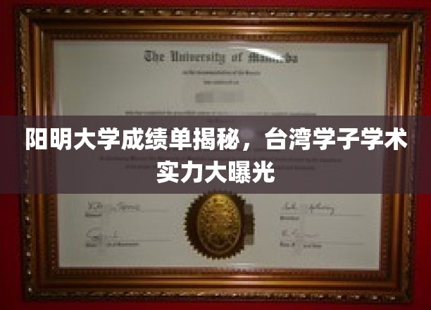 阳明大学成绩单揭秘，台湾学子学术实力大曝光