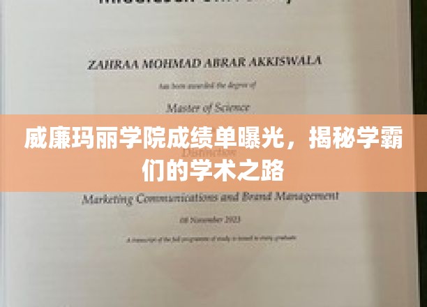 威廉玛丽学院成绩单揭秘，一窥学霸们的学术之路